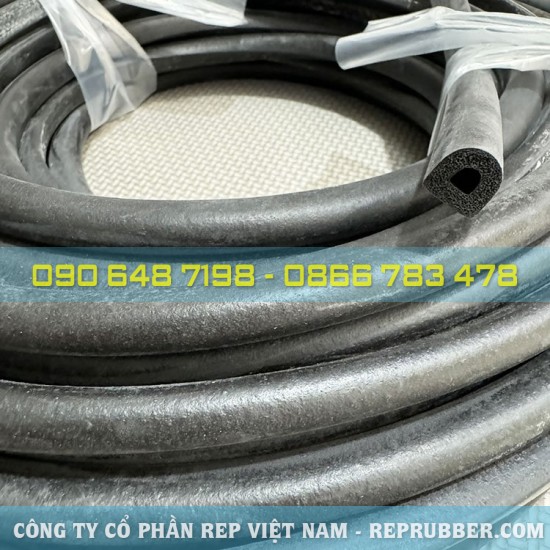 Foam rubber D-shaped gasket 10x12x3