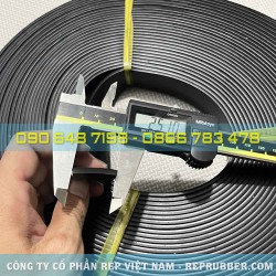 EPDM rubber gasket CN 3x25