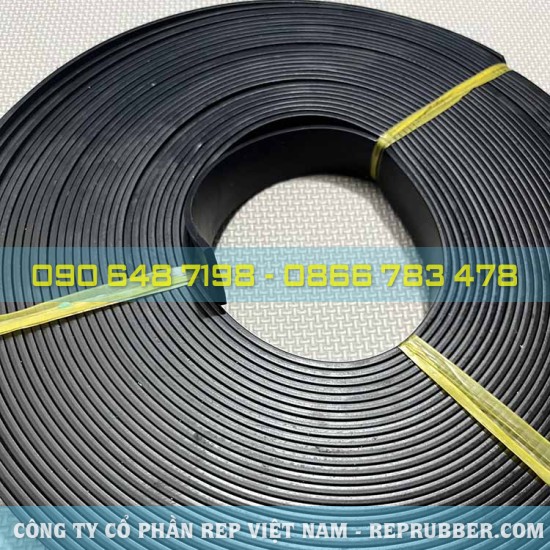 EPDM rubber gasket CN 3x25