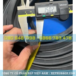 Rectangular sponge Rubber gasket 15x20